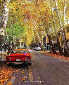 پائیز خیابان عباس اباد زیباترین خیابان اصفهان 