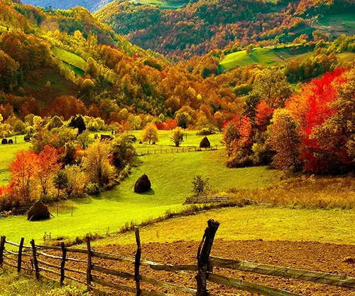 طبیعت زیبای پاییزی