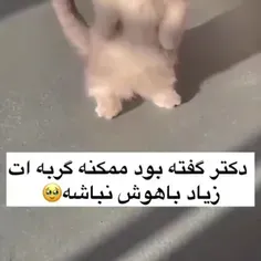 کیوتم🥺