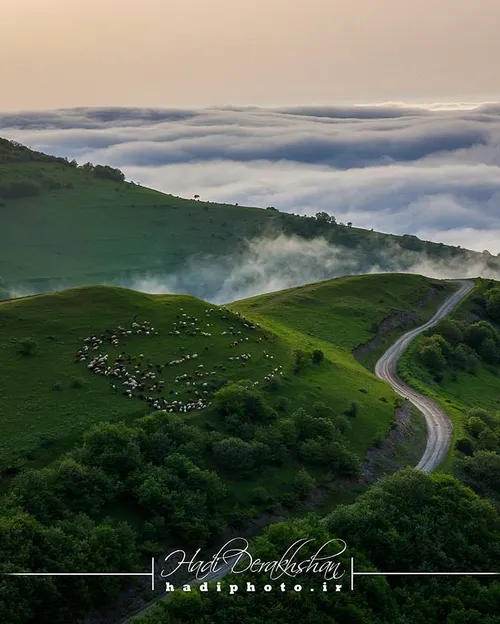 مسل گیلان ایران