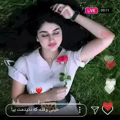 دیلی ساده  دارم   