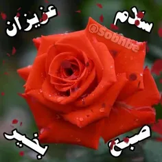 🌹درود و صد سلام به امروز خوش آمدید🌹