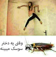 خخخخخخخخخخخ