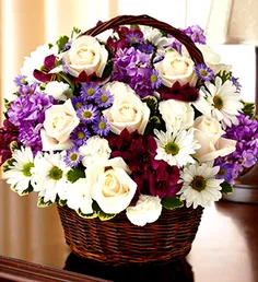 . سلام و ادب . گل برای گل های ویسگون .