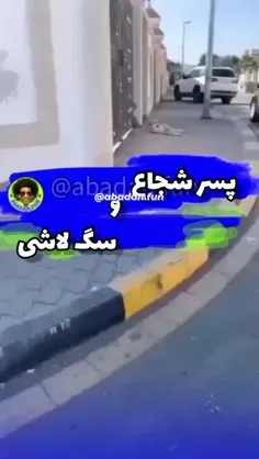 لایک