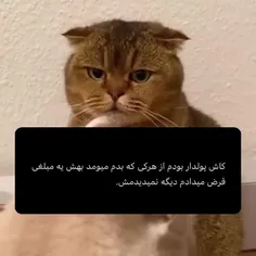 لایک یادتون نره 