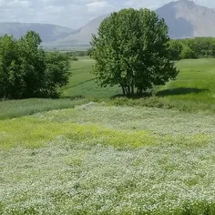 طبیعت روستای سرماج