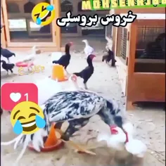 عررر😂😂