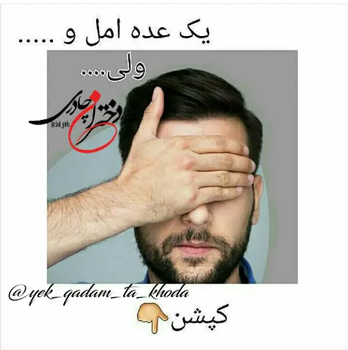 ‍ تقدیم بہ همہ