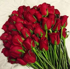 سلام خدمت دوستان این گلها تقدیم به شما عزیزان