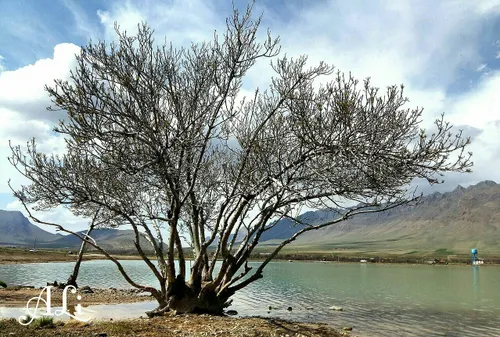 سد خاکی در روستایی محمدیه اراک