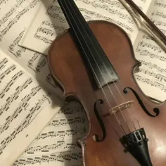 𝘐'𝘮 𝘔𝘢𝘳𝘪𝘣𝘦𝘭𝘭𝘦 | 𝘚𝘪𝘮𝘴 🎻