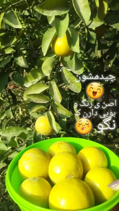 لیموهای درختای خودمون 😍