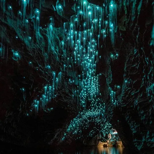 غارهای وایتومو در نیوزیلند با زیبایی بکر تاریکی پنهان دل 