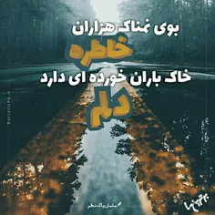 بوی نمناک هزاران خاطره خاک باران خورده‌ای دارد دلم. (سلما