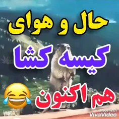 حال و روز شیشتاییا چطوره😂🤣😂😂😂😂