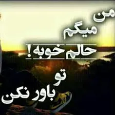 می روم اما چمدانم را نمی برم . . .