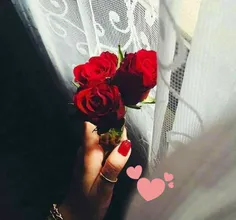 ♥️🌱💭لا توجد سعادة دائمة ، ولا حزن باقٍ ..