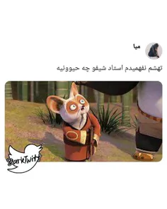 آخرش نفهمیدم استاد شیفو چه حیوونیه . . 🚶‍♀️