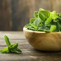 نعناع یگ گیاه پر مصرف در آشپزی است که به واسطه خواص داروی