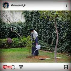 به مناسبت روز درختکاری، رهبرانقلاب پیش از ظهر امروز، دو ا