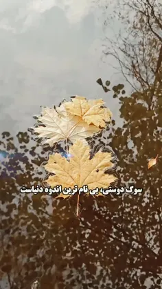 🌱🍒سوگ دوستی بی نام ترین اندوه دنیاست.