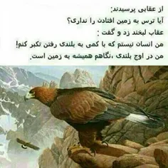 لاااااایک