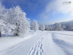 برف می‌بارد و همه خوشحالند،، و من غمگین …