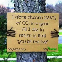 من به تنهایی،٢٢ کیلوگرم دی اکسید کربن را هرسال جذب می کنم
