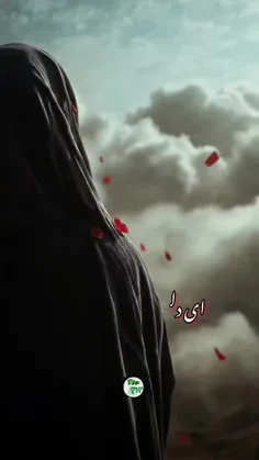 اگر دفاع به موقع حضرت زهرا (س) نبود، امیرمومنان(ع) کشته م