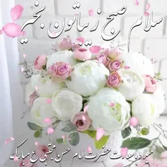 🌸سلام