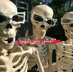 تو کامنتا جوری حرف بزنین که انگار خانواده اییم😂😐♡