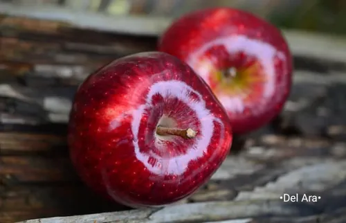 والپیپرفانتزی والپیپر عاشقانه والپیپر طبیعت سیب سیب قرمز 