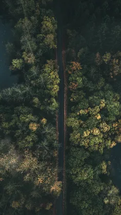 بهِش گفتم راه رو درست نمیرَم