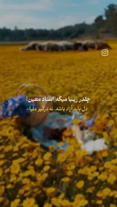 دل باید آزاد باشه نه درگیر دنیا......