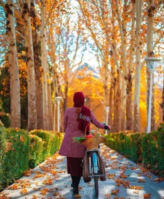 من از غربت شاخه ها می ترسم