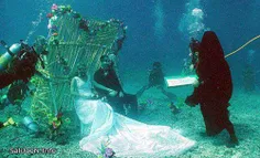 عروسی در زیر دریا 