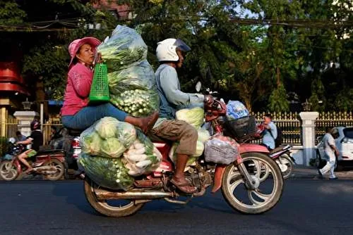 حمل و نقل عجیب با موتور در کامبوج