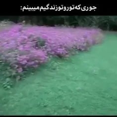 نمونه که میگن اینه دوستان !