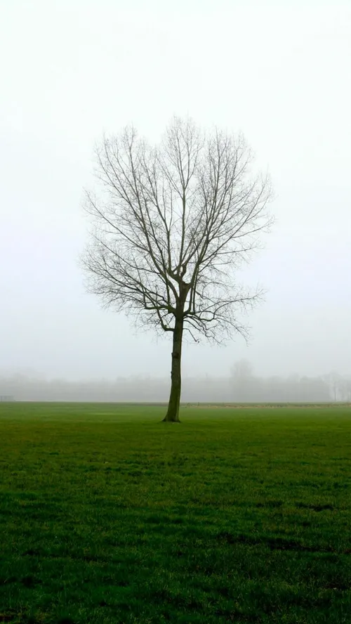 به مناسبت سیزده بدر 🌾 🍃