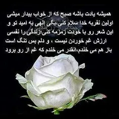 ریا نباشه ولی من نون آور سه تا خونواده هستم