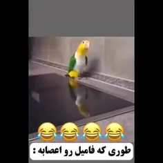 این واقعاً درسته