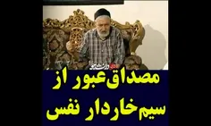 شهدا