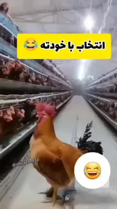 #طنز