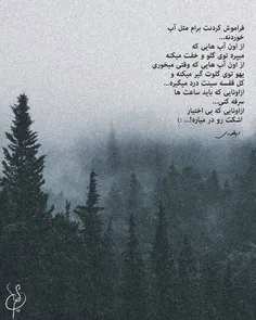 چه شبایی که
