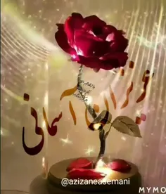 پنجشنبه است و یاد درگذشتگان 🥀🍃