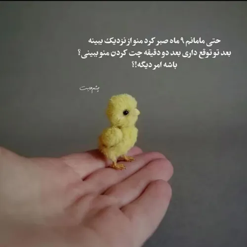 😂🐣🐥🐤