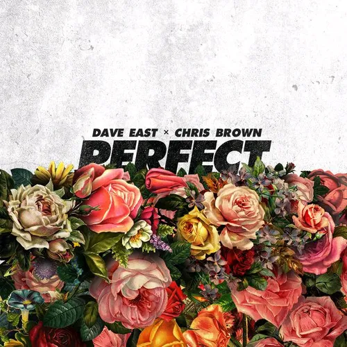 💢 dawnload New Music Chris Brown - Perfect (Ft Dave East)