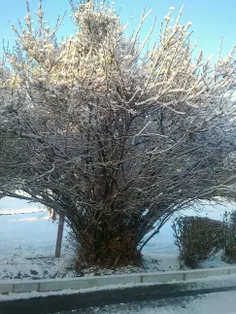 یه روز برفی...