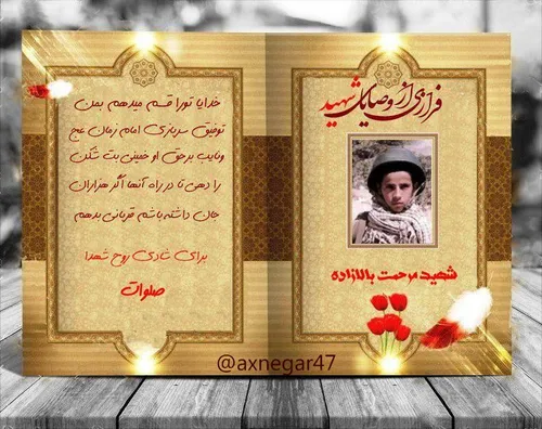 وصیت نامه شهید مرحمت بالازاده
